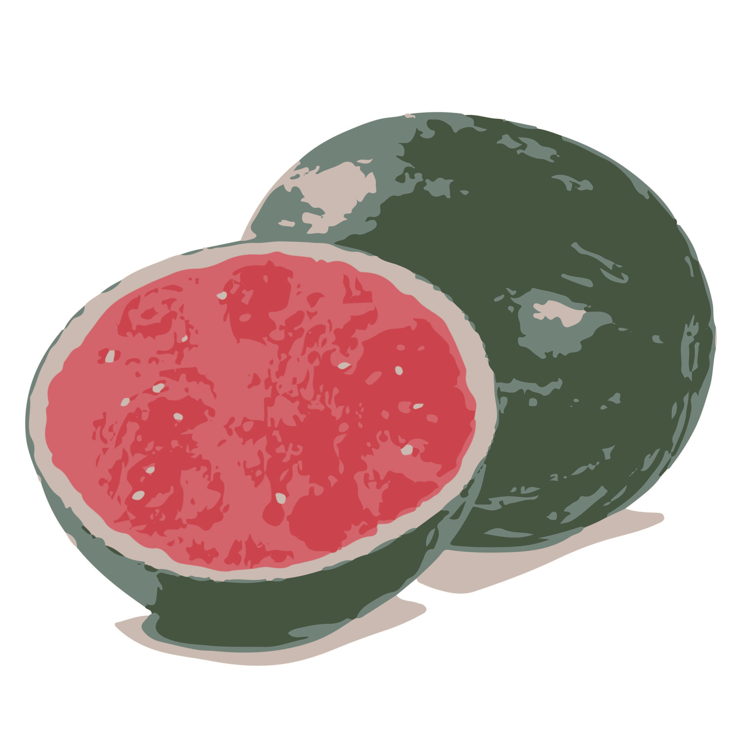 Watermelon
