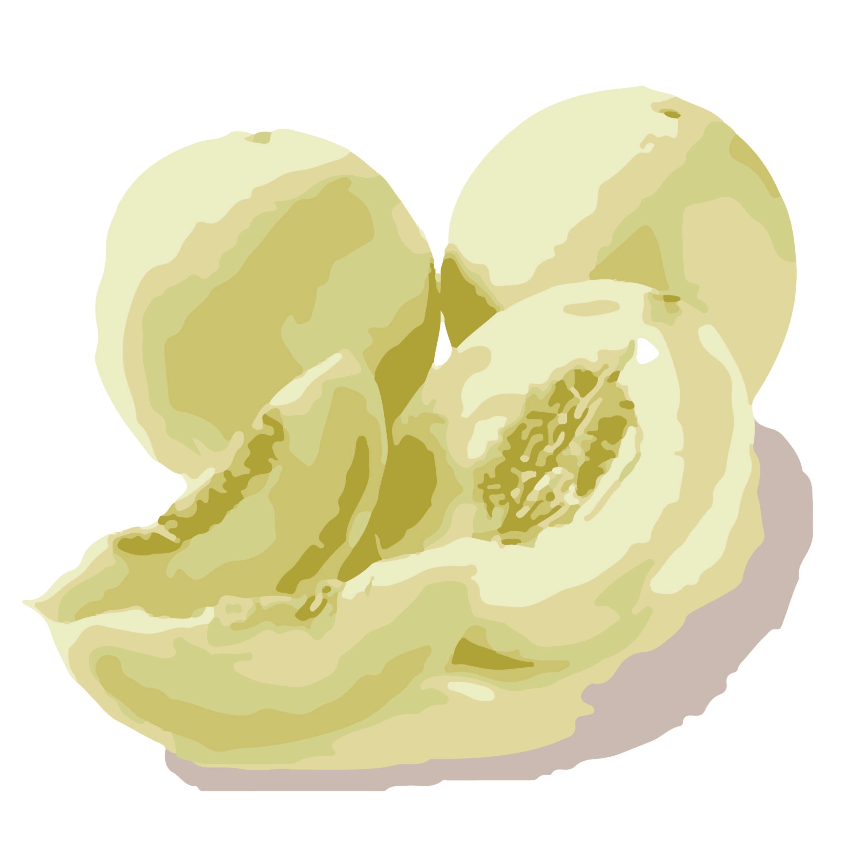 Honeydew