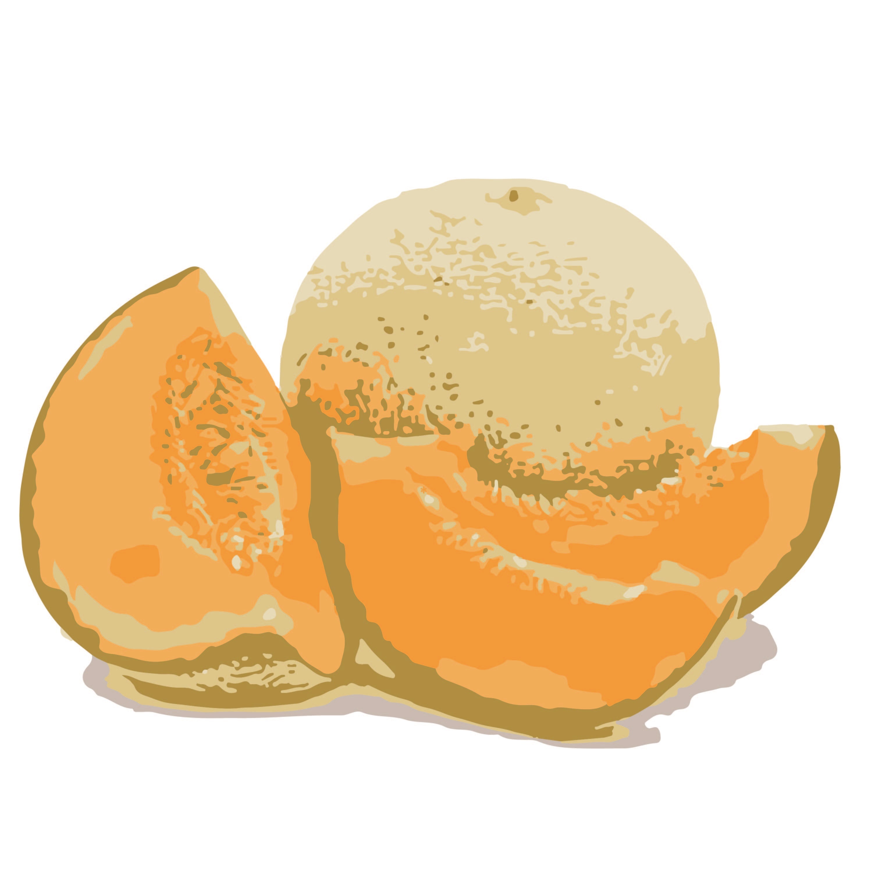 Cantaloupe